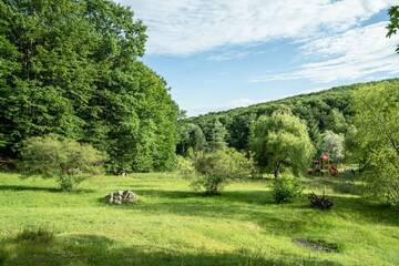 Фото Курортные отели Hotel McPietroasa г. Haleş 5