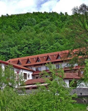 Фото Курортные отели Hotel McPietroasa г. Haleş 1